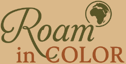 Roam In Color